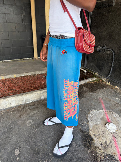 BLUE "ARCADE" SHORTS